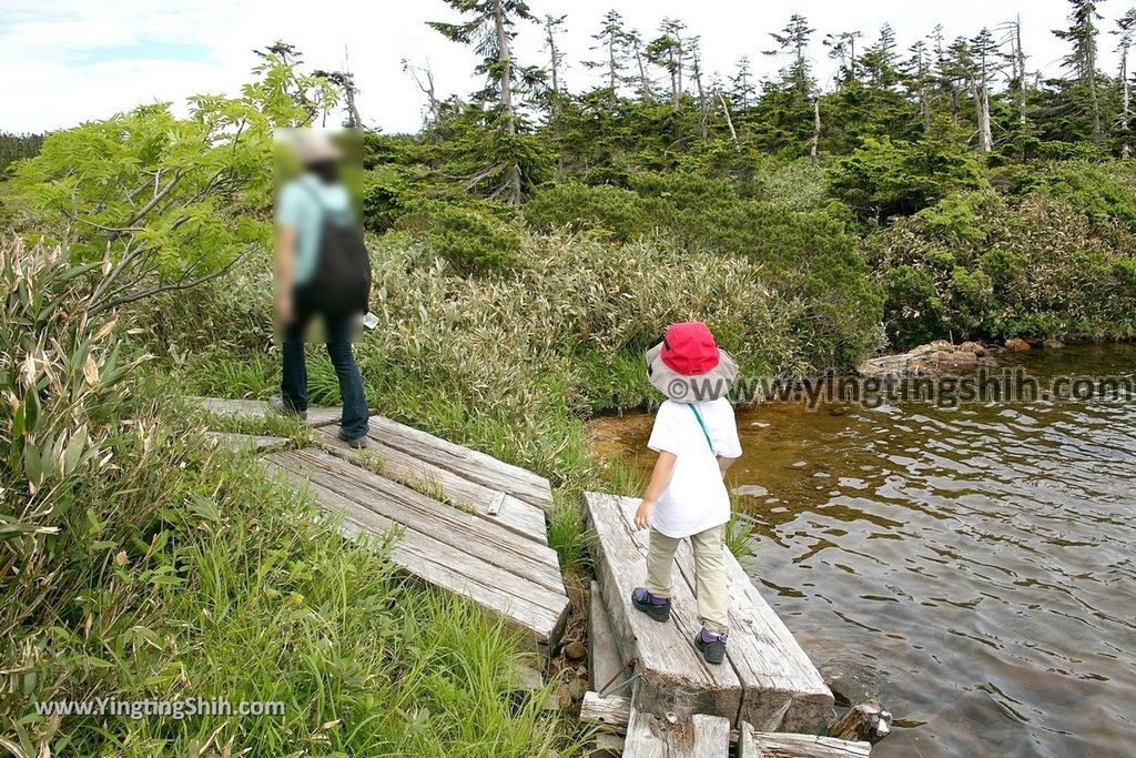 YTS_YTS_20190722_日本東北岩手八幡平山頂樹海／見返峠／鏡沼／八幡沼Japan Tohoku Iwate Mount Hachimantai／Mikaeri Pass197_539A6337.jpg