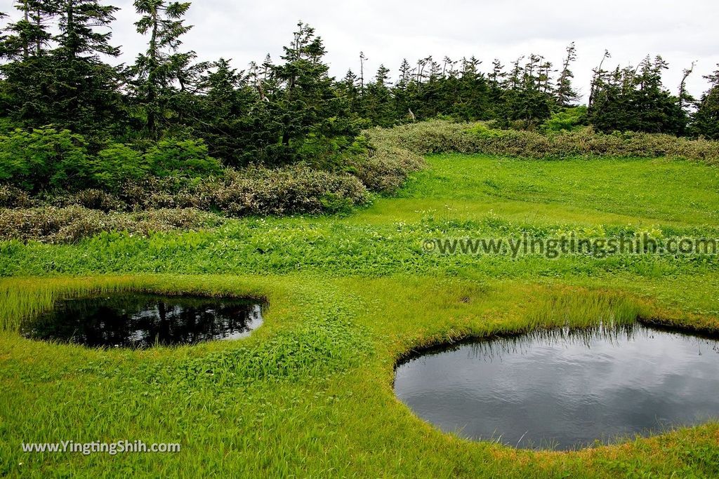 YTS_YTS_20190722_日本東北岩手八幡平山頂樹海／見返峠／鏡沼／八幡沼Japan Tohoku Iwate Mount Hachimantai／Mikaeri Pass232_539A6579.jpg