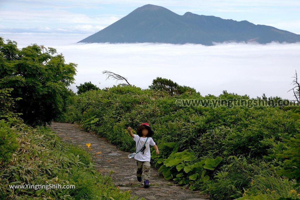 YTS_YTS_20190722_日本東北岩手八幡平山頂樹海／見返峠／鏡沼／八幡沼Japan Tohoku Iwate Mount Hachimantai／Mikaeri Pass236_539A6641.jpg