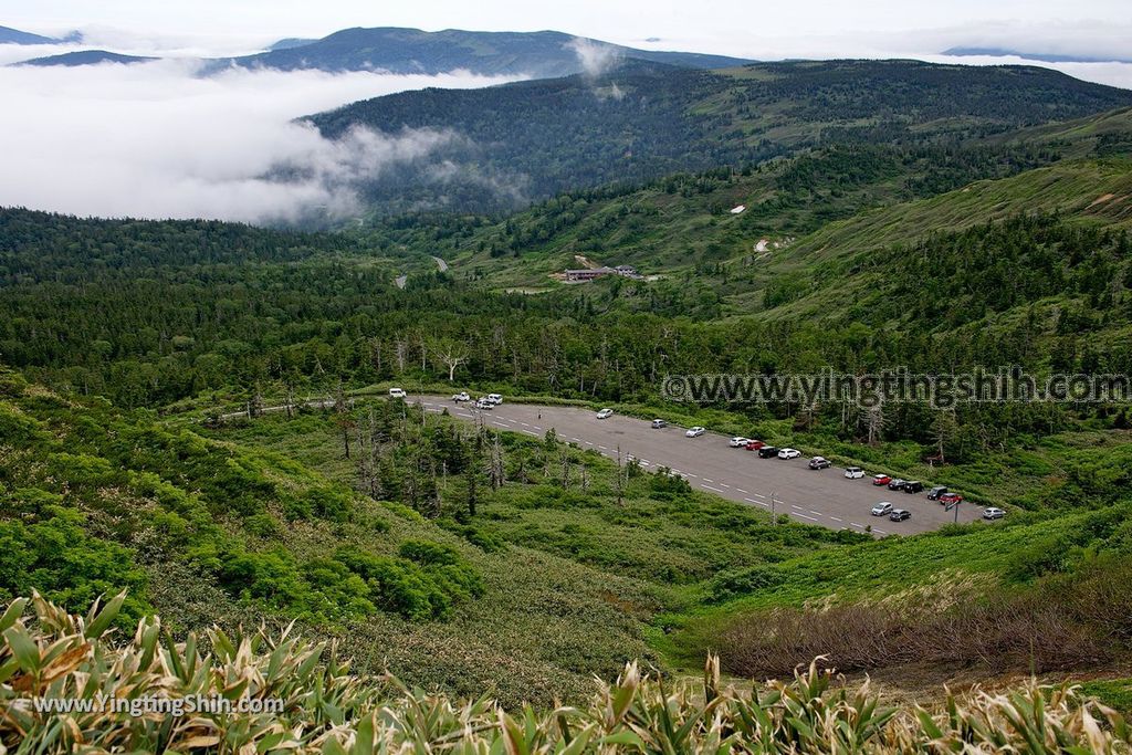 YTS_YTS_20190722_日本東北岩手八幡平山頂樹海／見返峠／鏡沼／八幡沼Japan Tohoku Iwate Mount Hachimantai／Mikaeri Pass248_539A6647.jpg