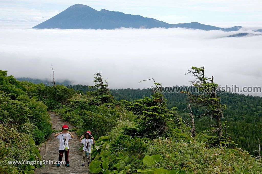 YTS_YTS_20190722_日本東北岩手八幡平山頂樹海／見返峠／鏡沼／八幡沼Japan Tohoku Iwate Mount Hachimantai／Mikaeri Pass254_539A6623.jpg