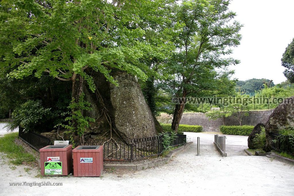 YTS_YTS_20190808_日本關東栃木平和観音／大谷公園／天狗投石／親子青蛙石Japan Kanto Tochigi Otani Park109_539A1059.jpg