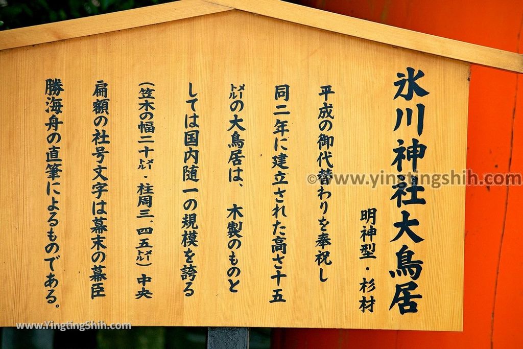 YTS_YTS_20190804_日本關東埼玉川越結緣風鈴祭／冰川神社／鯛魚籤／御神木apan Kanto Saitama Kawagoe Hikawa Shrine011_539A2002.jpg