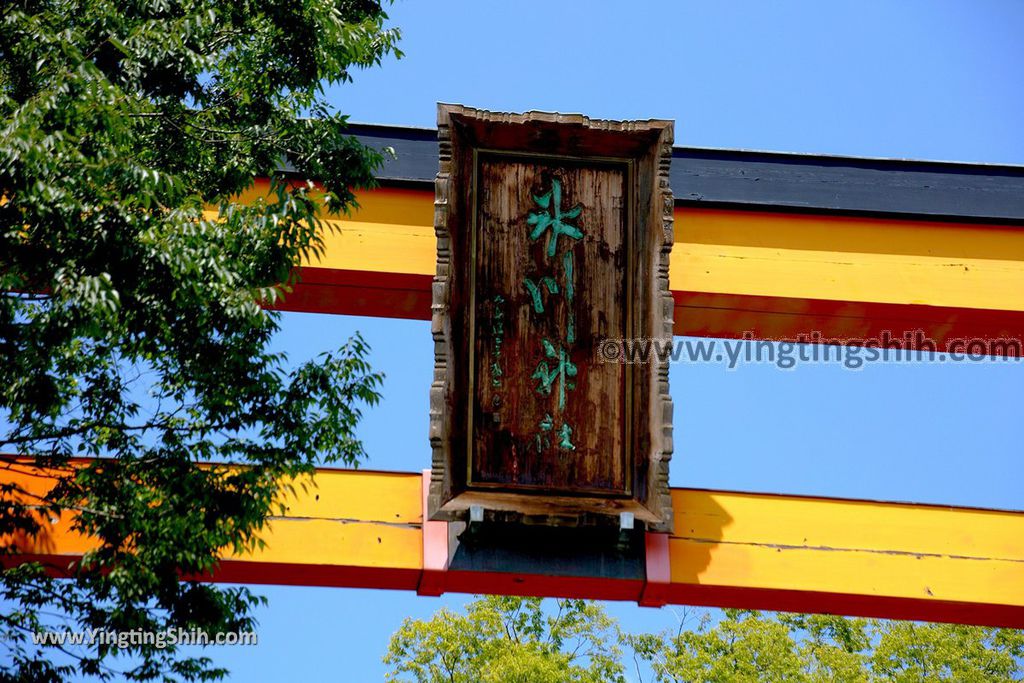 YTS_YTS_20190804_日本關東埼玉川越結緣風鈴祭／冰川神社／鯛魚籤／御神木apan Kanto Saitama Kawagoe Hikawa Shrine013_539A1996.jpg