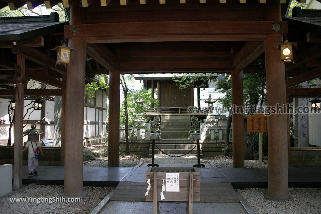 YTS_YTS_20190804_日本關東埼玉川越結緣風鈴祭／冰川神社／鯛魚籤／御神木apan Kanto Saitama Kawagoe Hikawa Shrine019_539A2027.jpg