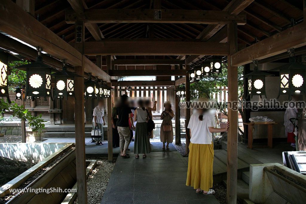 YTS_YTS_20190804_日本關東埼玉川越結緣風鈴祭／冰川神社／鯛魚籤／御神木apan Kanto Saitama Kawagoe Hikawa Shrine025_539A2038.jpg