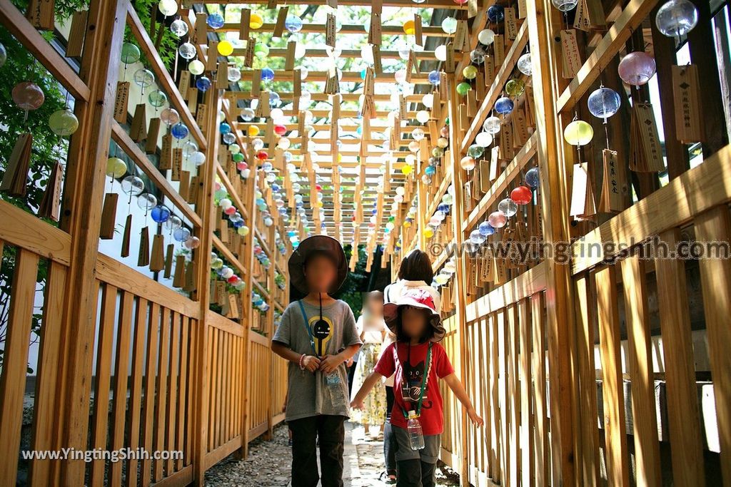 YTS_YTS_20190804_日本關東埼玉川越結緣風鈴祭／冰川神社／鯛魚籤／御神木apan Kanto Saitama Kawagoe Hikawa Shrine030_539A2056.jpg