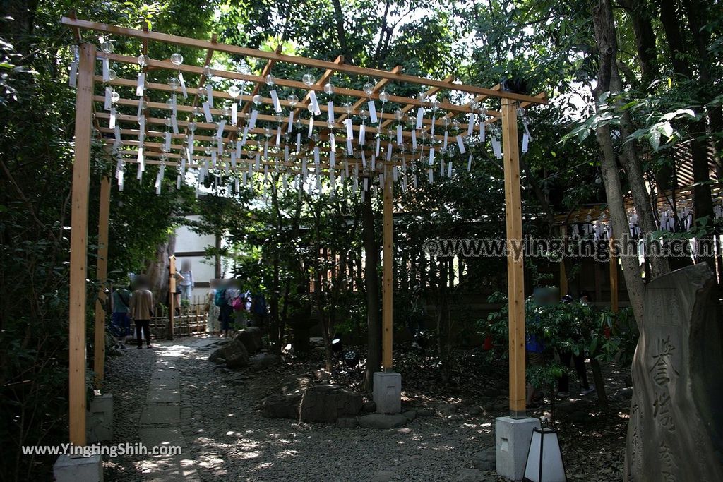 YTS_YTS_20190804_日本關東埼玉川越結緣風鈴祭／冰川神社／鯛魚籤／御神木apan Kanto Saitama Kawagoe Hikawa Shrine049_539A2087.jpg