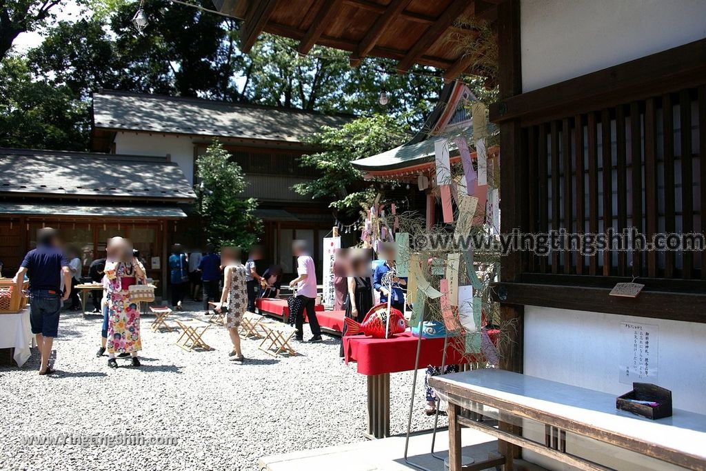 YTS_YTS_20190804_日本關東埼玉川越結緣風鈴祭／冰川神社／鯛魚籤／御神木apan Kanto Saitama Kawagoe Hikawa Shrine062_539A2112.jpg