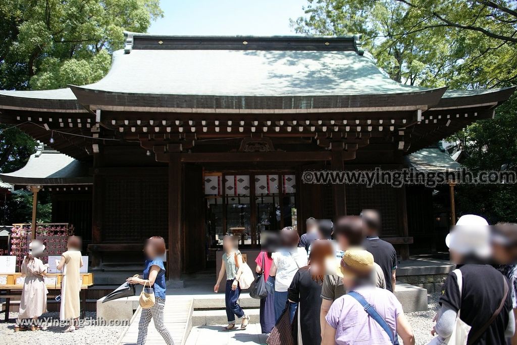 YTS_YTS_20190804_日本關東埼玉川越結緣風鈴祭／冰川神社／鯛魚籤／御神木apan Kanto Saitama Kawagoe Hikawa Shrine072_539A2136.jpg