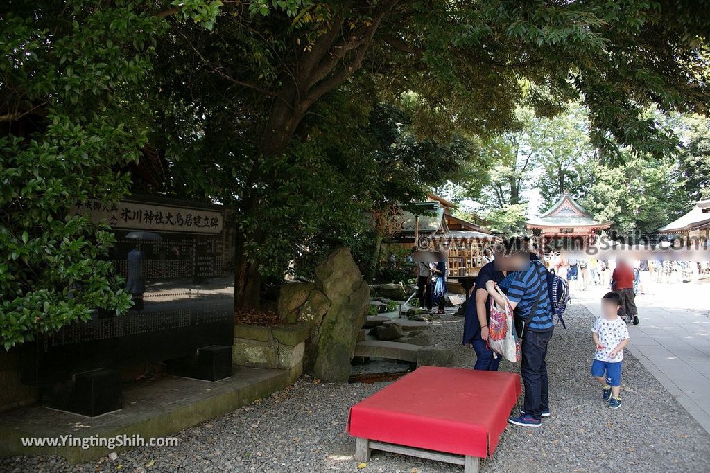 YTS_YTS_20190804_日本關東埼玉川越結緣風鈴祭／冰川神社／鯛魚籤／御神木apan Kanto Saitama Kawagoe Hikawa Shrine082_539A2007.jpg