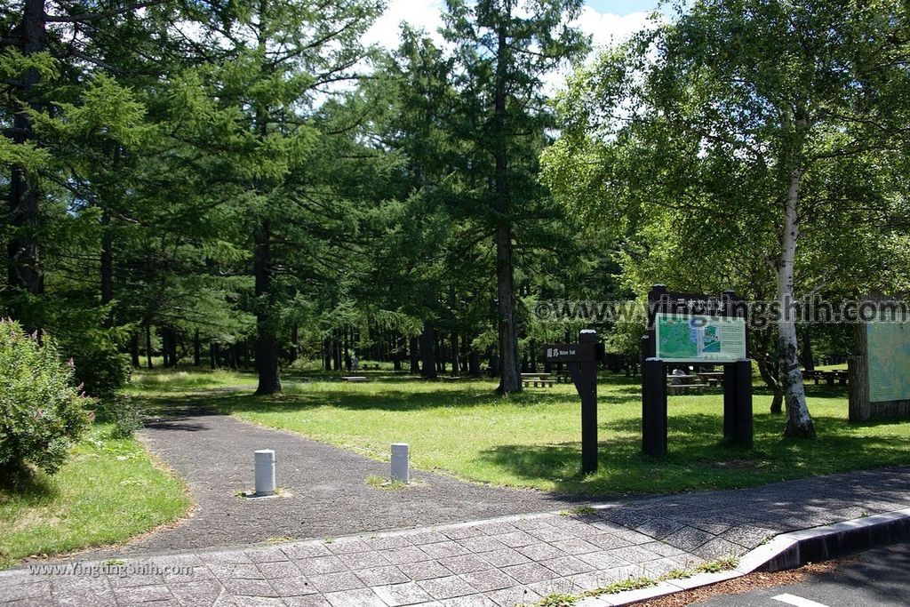 YTS_YTS_20190807_日本關東栃木三本松園地／戦場ヶ原展望台Japan Kanto Tochigi Three Pine Park Car Park019_539A8134.jpg