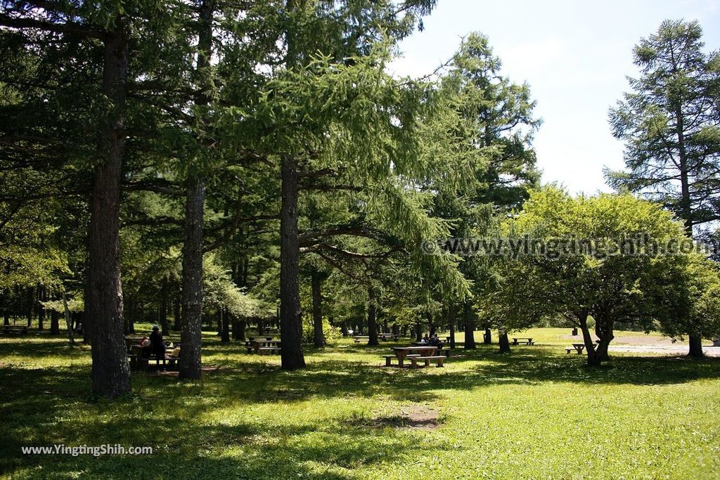 YTS_YTS_20190807_日本關東栃木三本松園地／戦場ヶ原展望台Japan Kanto Tochigi Three Pine Park Car Park020_539A8141.jpg