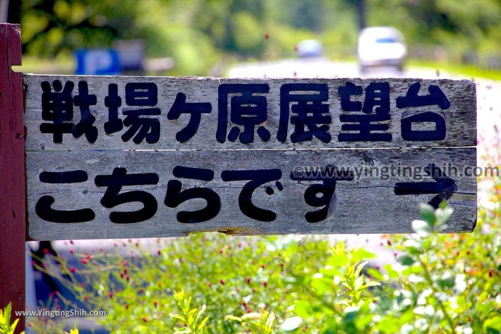 YTS_YTS_20190807_日本關東栃木三本松園地／戦場ヶ原展望台Japan Kanto Tochigi Three Pine Park Car Park046_539A8171.jpg