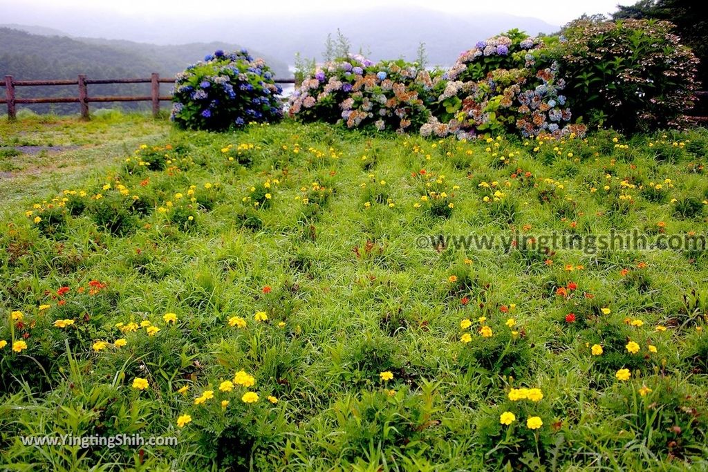 YTS_YTS_20190812_日本東北福島羽鳥湖／展望台／湖畔之綠Japan Tohoku Fukushima Hatori Lake Observatory023_023.jpg