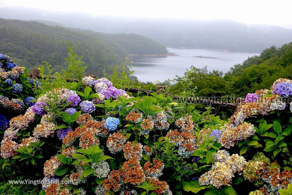 YTS_YTS_20190812_日本東北福島羽鳥湖／展望台／湖畔之綠Japan Tohoku Fukushima Hatori Lake Observatory027_027.jpg