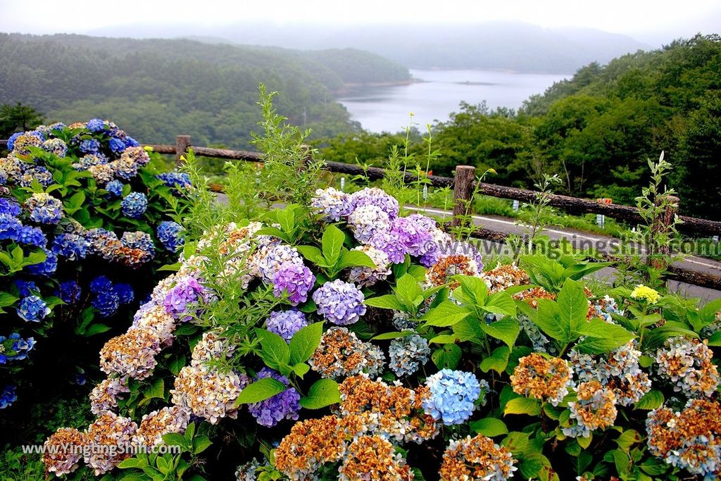 YTS_YTS_20190812_日本東北福島羽鳥湖／展望台／湖畔之綠Japan Tohoku Fukushima Hatori Lake Observatory025_025.jpg