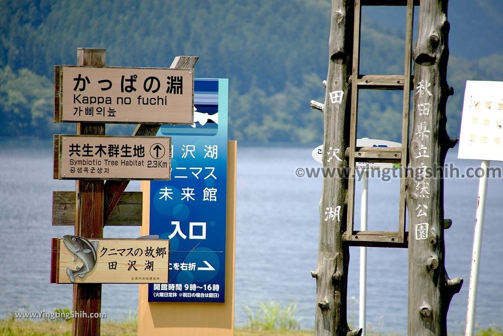 YTS_YTS_20190720_日本東北秋田田沢湖（深度日本第一）／未来館／國鱒魚Japan Tohoku Akita Lake Tazawa Kunimasu Museum005_539A2784.jpg