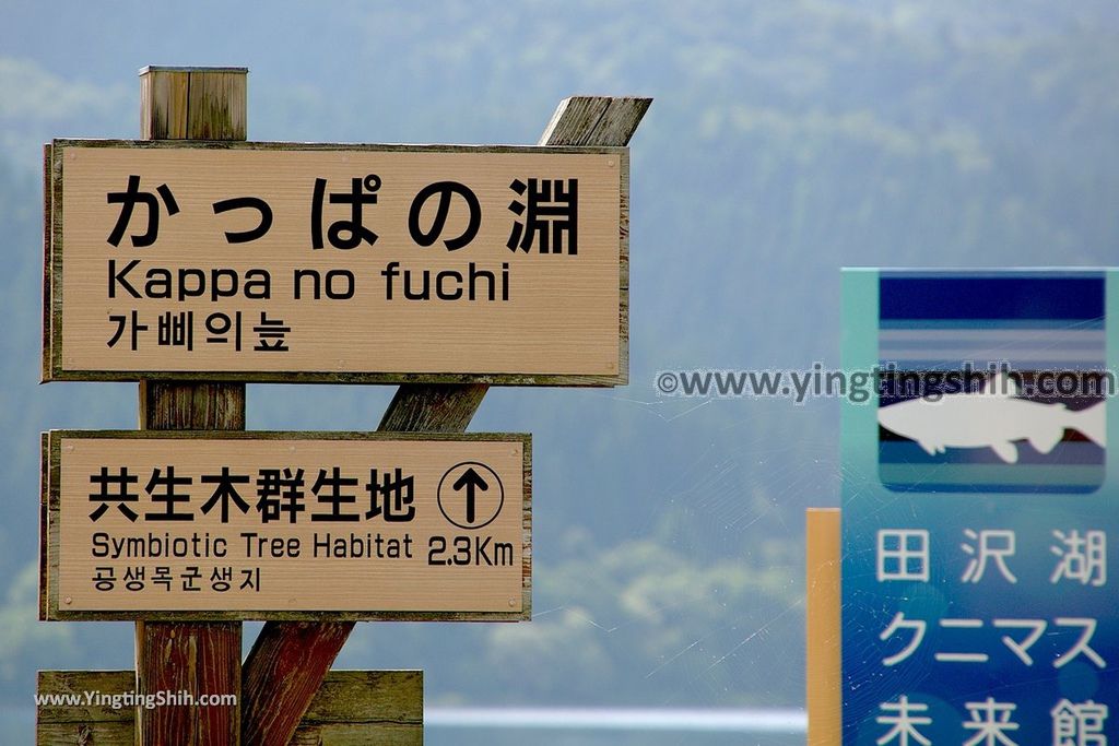 YTS_YTS_20190720_日本東北秋田田沢湖（深度日本第一）／未来館／國鱒魚Japan Tohoku Akita Lake Tazawa Kunimasu Museum006_539A3542.jpg