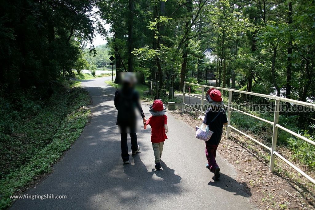 YTS_YTS_20190803_日本東北福島乙字ケ滝（日本瀑布百選）／芭蕉句碑Japan Tohoku Fukushima Otsujiga Falls／Sukagawa054_539A1325.jpg