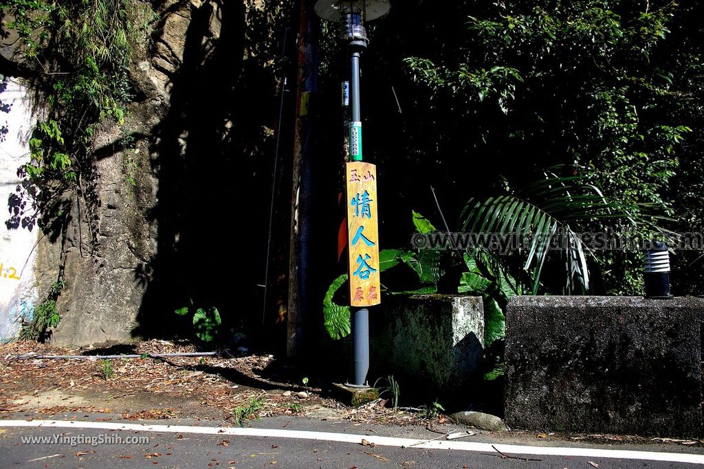 YTS_YTS_20190929_桃園大溪山豬湖生態親水園區／月眉人工濕地生態公園Taoyuan Daxi Shanzhuhu Riverside Park008_539A8226.jpg