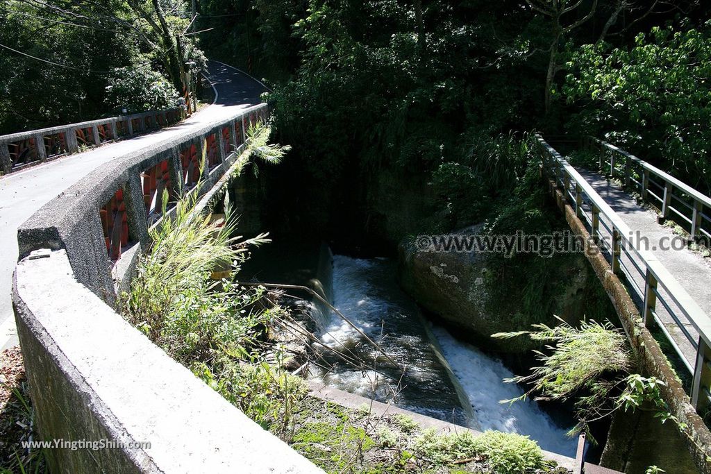 YTS_YTS_20190929_桃園大溪山豬湖生態親水園區／月眉人工濕地生態公園Taoyuan Daxi Shanzhuhu Riverside Park011_539A7479.jpg