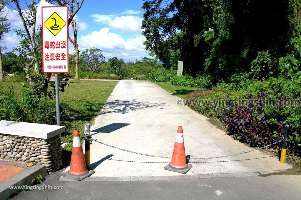 YTS_YTS_20190929_桃園大溪山豬湖生態親水園區／月眉人工濕地生態公園Taoyuan Daxi Shanzhuhu Riverside Park027_539A7963.jpg