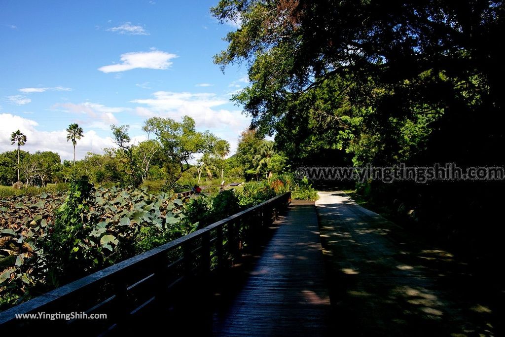 YTS_YTS_20190929_桃園大溪山豬湖生態親水園區／月眉人工濕地生態公園Taoyuan Daxi Shanzhuhu Riverside Park045_539A8001.jpg