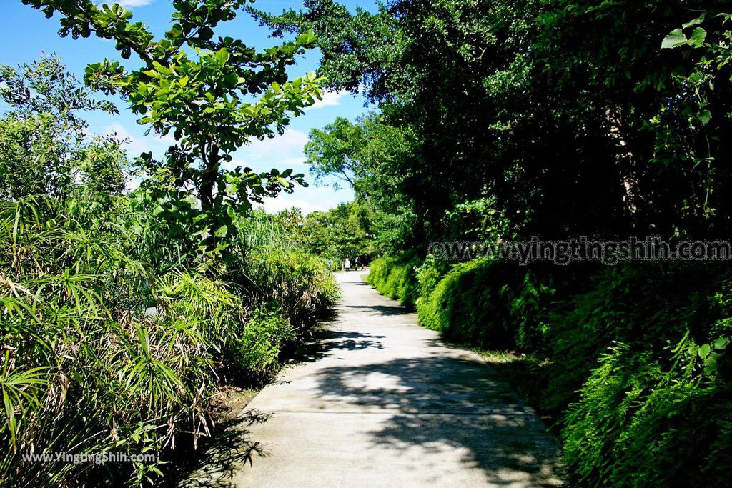 YTS_YTS_20190929_桃園大溪山豬湖生態親水園區／月眉人工濕地生態公園Taoyuan Daxi Shanzhuhu Riverside Park064_539A8054.jpg