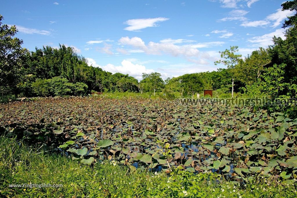 YTS_YTS_20190929_桃園大溪山豬湖生態親水園區／月眉人工濕地生態公園Taoyuan Daxi Shanzhuhu Riverside Park056_539A8038.jpg