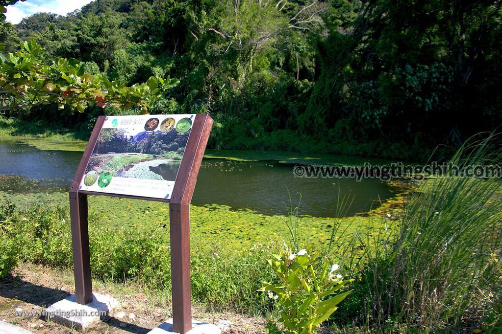 YTS_YTS_20190929_桃園大溪山豬湖生態親水園區／月眉人工濕地生態公園Taoyuan Daxi Shanzhuhu Riverside Park075_539A8072.jpg