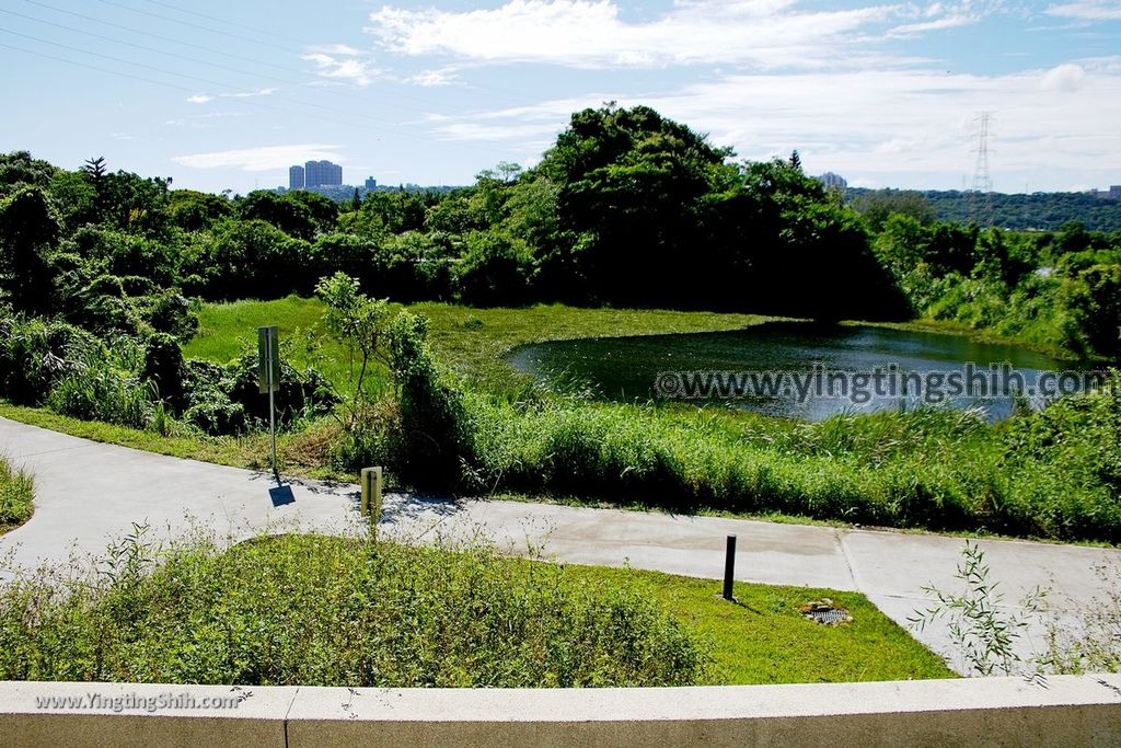 YTS_YTS_20190929_桃園大溪山豬湖生態親水園區／月眉人工濕地生態公園Taoyuan Daxi Shanzhuhu Riverside Park100_539A8118.jpg