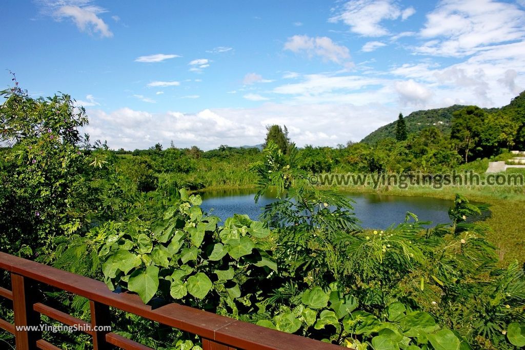 YTS_YTS_20190929_桃園大溪山豬湖生態親水園區／月眉人工濕地生態公園Taoyuan Daxi Shanzhuhu Riverside Park104_539A8123.jpg