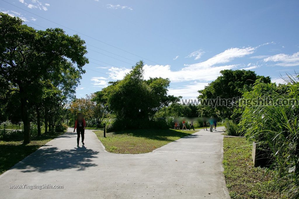 YTS_YTS_20190929_桃園大溪山豬湖生態親水園區／月眉人工濕地生態公園Taoyuan Daxi Shanzhuhu Riverside Park102_539A8119.jpg