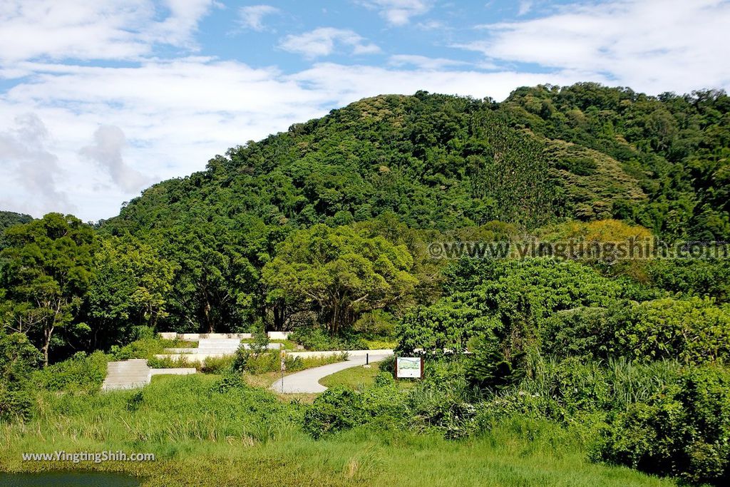 YTS_YTS_20190929_桃園大溪山豬湖生態親水園區／月眉人工濕地生態公園Taoyuan Daxi Shanzhuhu Riverside Park106_539A8130.jpg