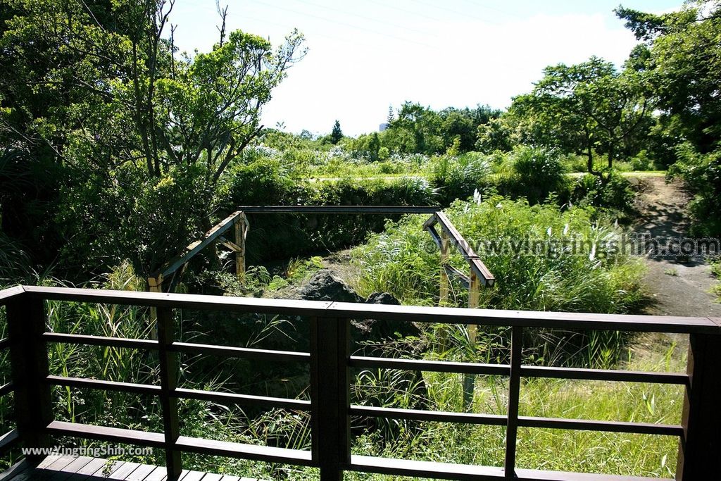 YTS_YTS_20190929_桃園大溪山豬湖生態親水園區／月眉人工濕地生態公園Taoyuan Daxi Shanzhuhu Riverside Park107_539A8132.jpg