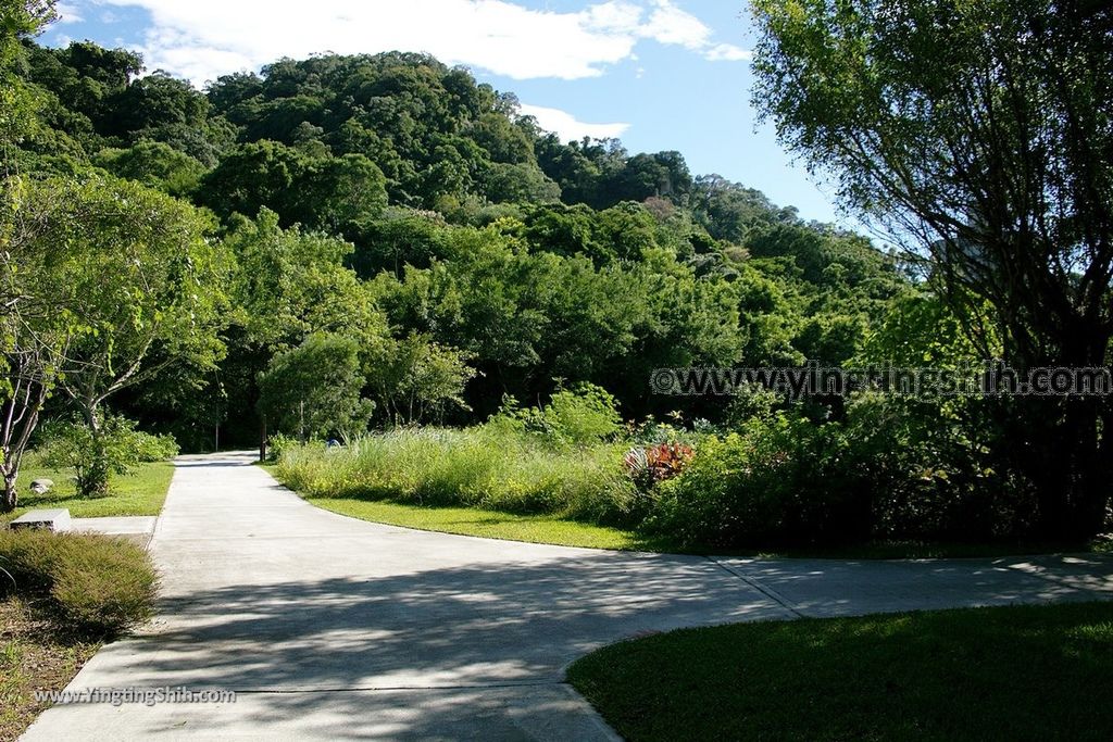 YTS_YTS_20190929_桃園大溪山豬湖生態親水園區／月眉人工濕地生態公園Taoyuan Daxi Shanzhuhu Riverside Park120_539A8173.jpg