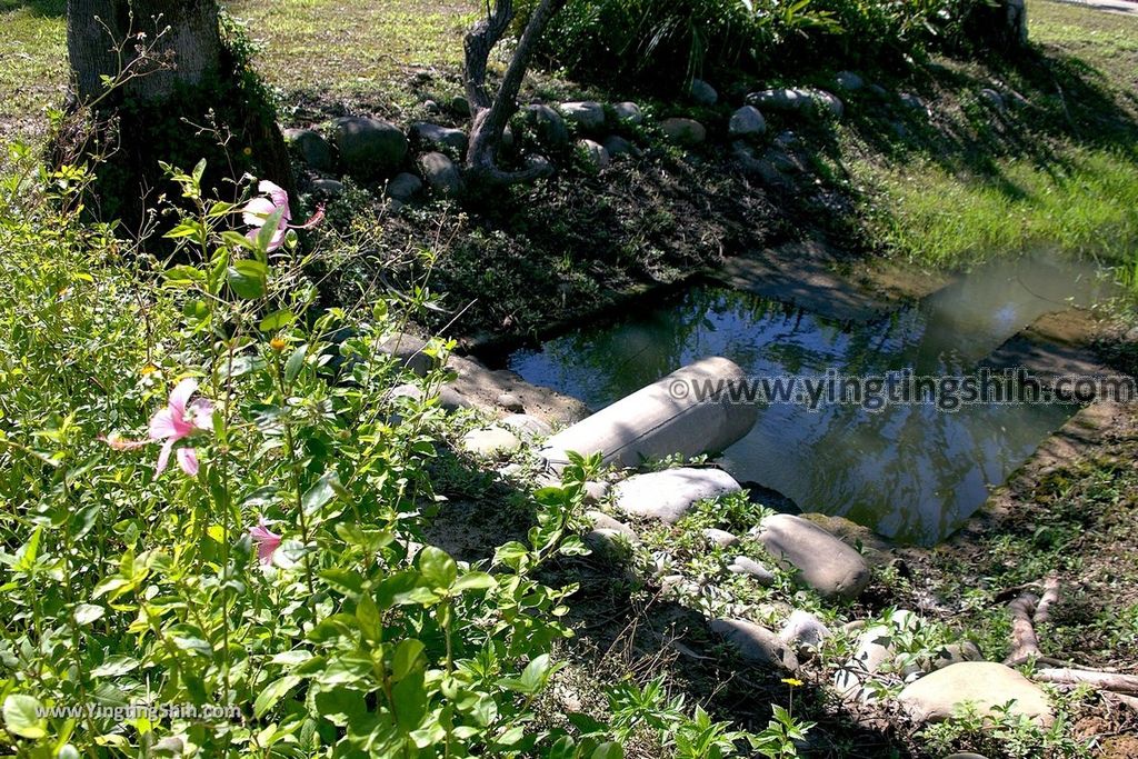 YTS_YTS_20190929_桃園大溪山豬湖生態親水園區／月眉人工濕地生態公園Taoyuan Daxi Shanzhuhu Riverside Park122_539A8191.jpg