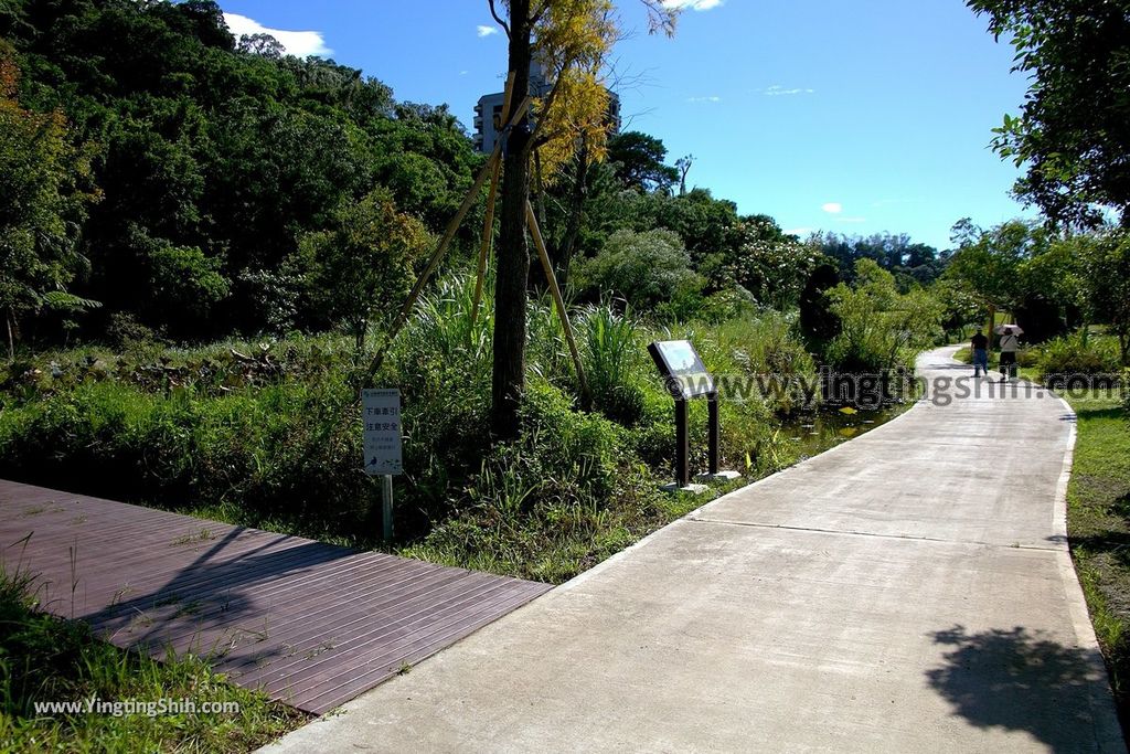 YTS_YTS_20190929_桃園大溪山豬湖生態親水園區／月眉人工濕地生態公園Taoyuan Daxi Shanzhuhu Riverside Park124_539A8193.jpg