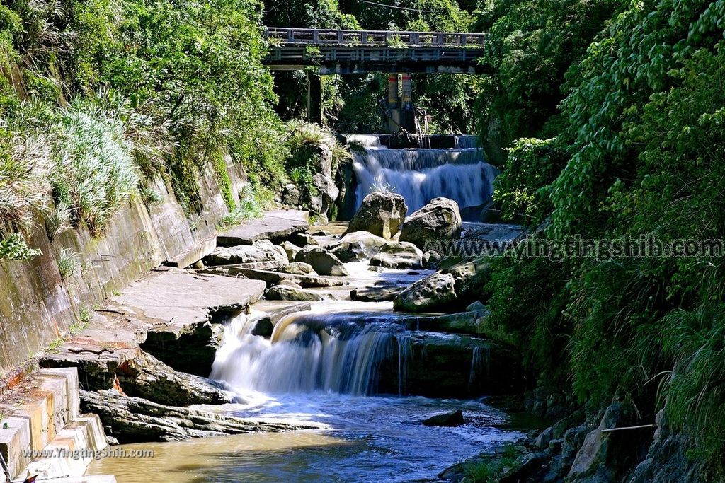 YTS_YTS_20190929_桃園大溪山豬湖生態親水園區／月眉人工濕地生態公園Taoyuan Daxi Shanzhuhu Riverside Park143_539A7557.jpg