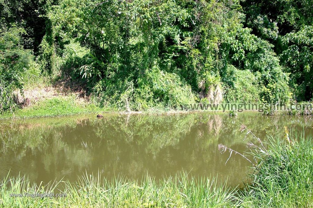 YTS_YTS_20190929_桃園大溪山豬湖生態親水園區／月眉人工濕地生態公園Taoyuan Daxi Shanzhuhu Riverside Park149_539A7567.jpg