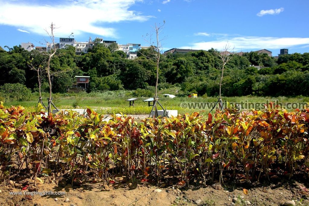 YTS_YTS_20190929_桃園大溪山豬湖生態親水園區／月眉人工濕地生態公園Taoyuan Daxi Shanzhuhu Riverside Park169_539A7606.jpg