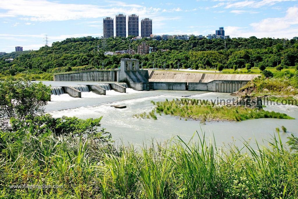 YTS_YTS_20190929_桃園大溪山豬湖生態親水園區／月眉人工濕地生態公園Taoyuan Daxi Shanzhuhu Riverside Park180_539A7626.jpg