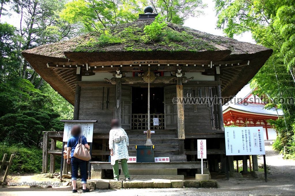 YTS_YTS_20190727_日本東北岩手達谷窟毘沙門堂／岩面大佛Japan Tohoku Iwate Takkounoiwaya Bishamondo111_539A6829.jpg