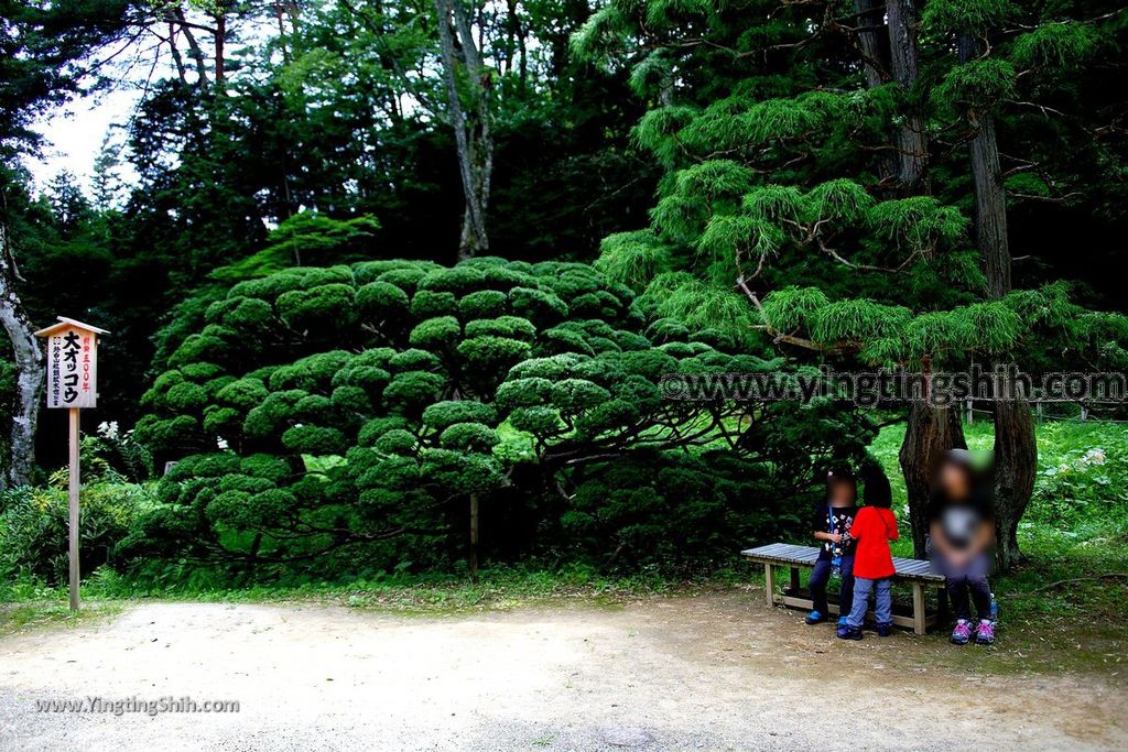 YTS_YTS_20190727_日本東北岩手達谷窟毘沙門堂／岩面大佛Japan Tohoku Iwate Takkounoiwaya Bishamondo122_539A6844.jpg