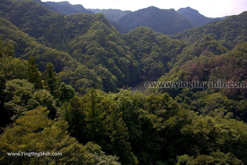 YTS_YTS_20190810_日本關東茨城龍神大吊橋／百米吉高空彈跳Japan Kanto Ibaraki Ryujinotsuri Bridge／100M Bungy065_539A5597.jpg