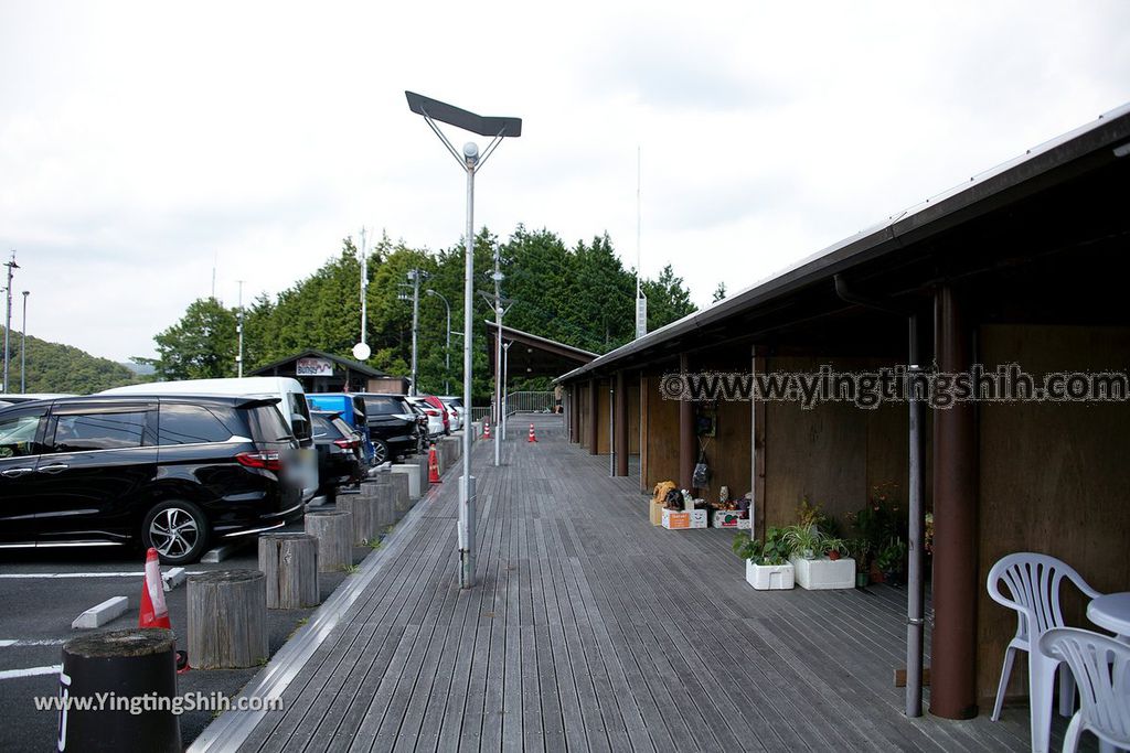 YTS_YTS_20190810_日本關東茨城龍神大吊橋／百米吉高空彈跳Japan Kanto Ibaraki Ryujinotsuri Bridge／100M Bungy130_539A5832.jpg