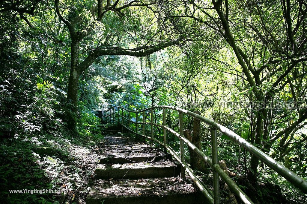 YTS_YTS_20190901_新北深坑烏月山登山步道／道祖宮New Taipei Shenkeng Wuyueshan Trail026_539A2473.jpg