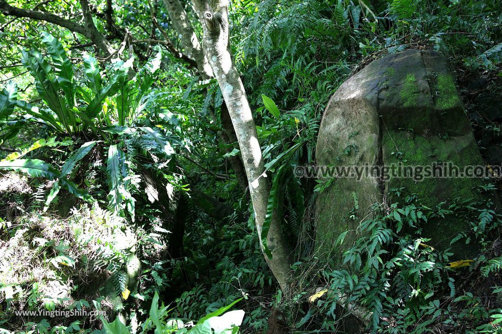 YTS_YTS_20190901_新北深坑烏月山登山步道／道祖宮New Taipei Shenkeng Wuyueshan Trail029_539A2488.jpg