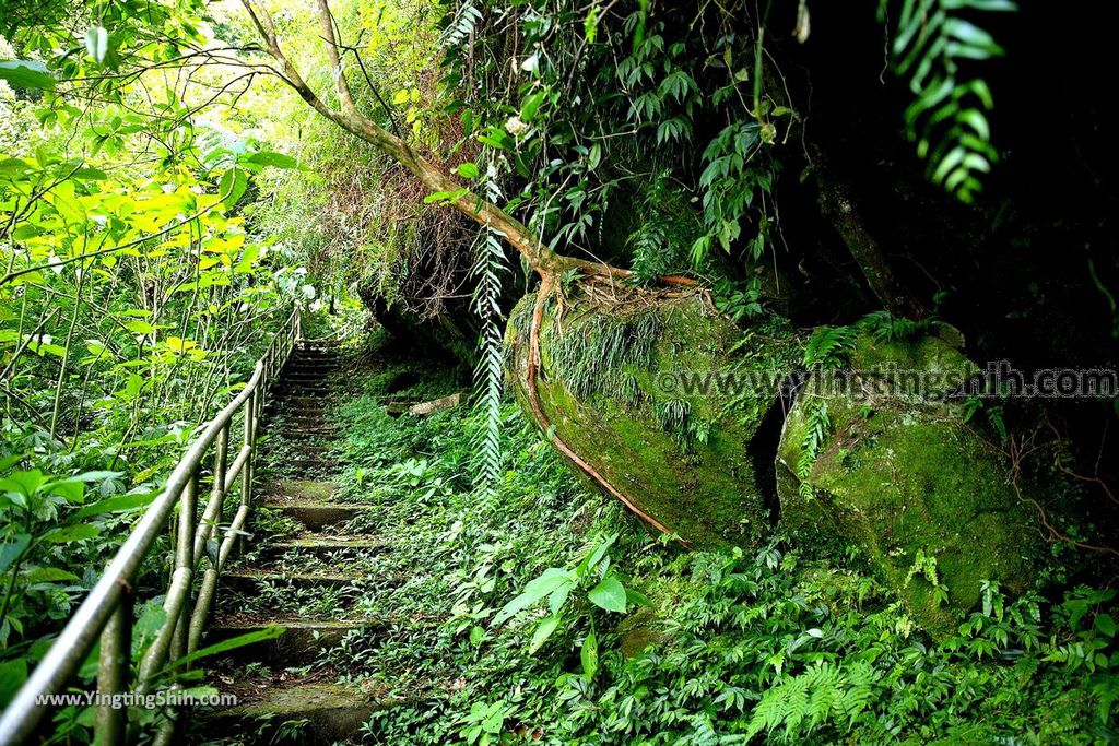 YTS_YTS_20190901_新北深坑烏月山登山步道／道祖宮New Taipei Shenkeng Wuyueshan Trail031_539A2502.jpg